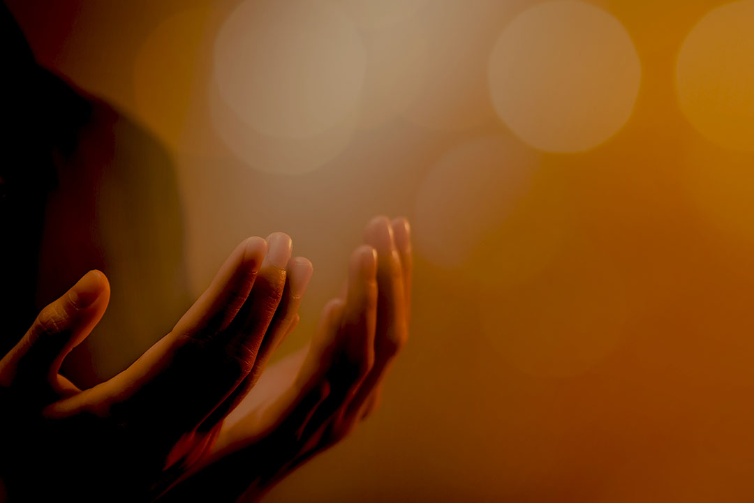 a pair of hands palms up against a bokeh background