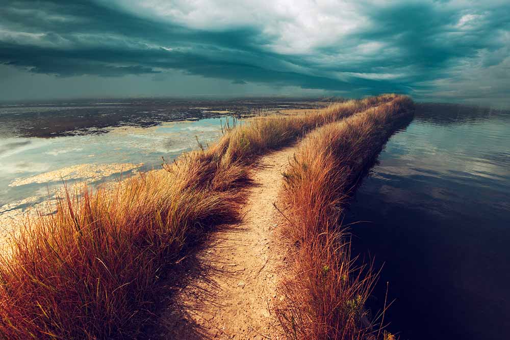 a grassy track with water on both sides