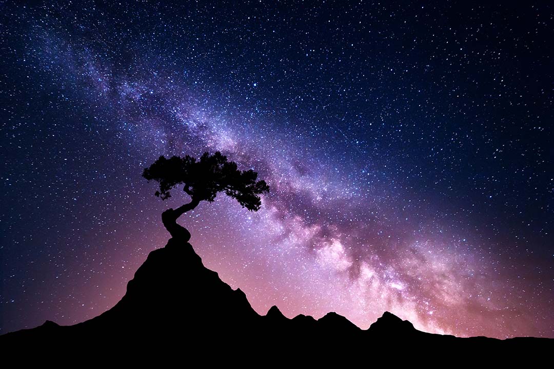 vast beauty of the milky way above a tree on a mountain